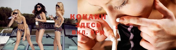 сатива Алексин