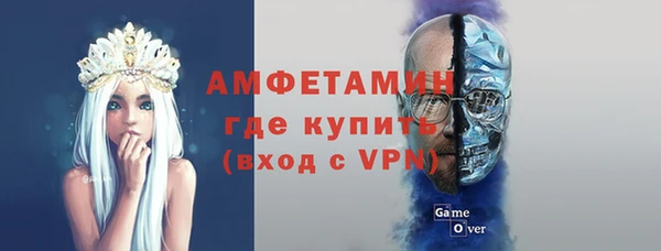 PSILOCYBIN Алзамай