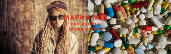 PSILOCYBIN Алзамай