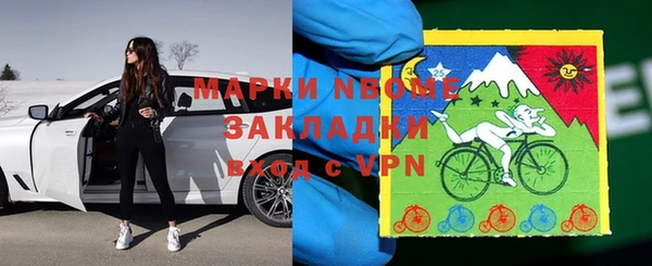 PSILOCYBIN Алзамай